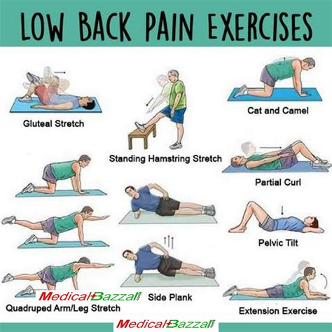 best exercises for back pain.